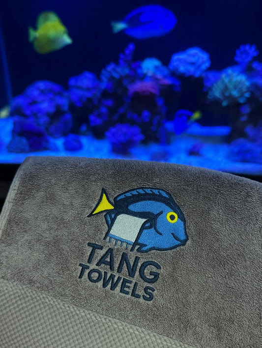 How to Clean a Saltwater Tank Without Harming Corals or Sand
